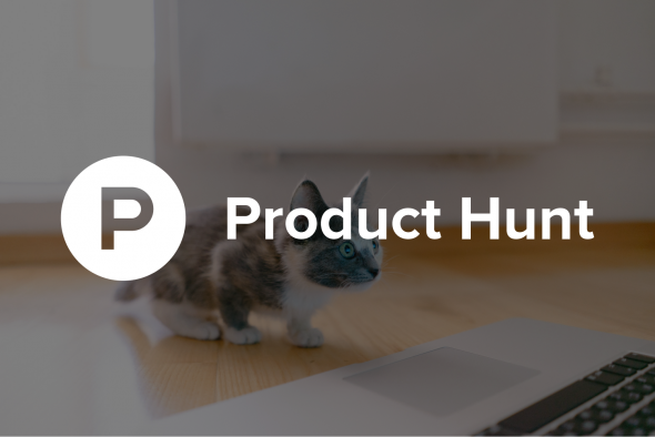 the Product Hunt logo overlayed on top of a photo with a kitten looking at the laptop screen with curiosity